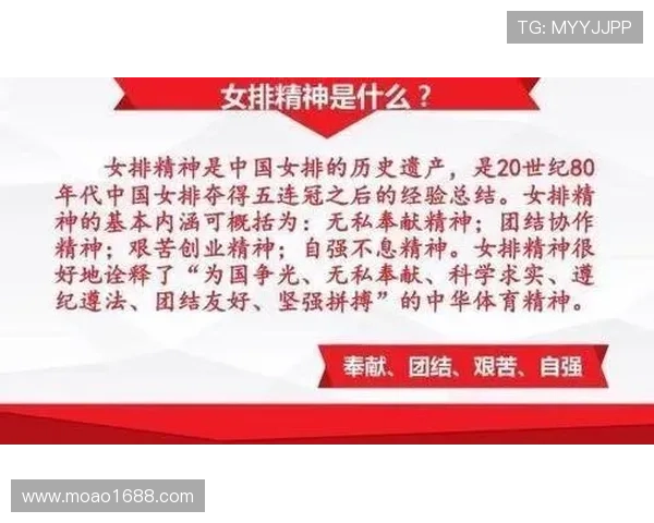 南京排球队的团队协作揭秘：排球巨献背后的默契与拼搏精神