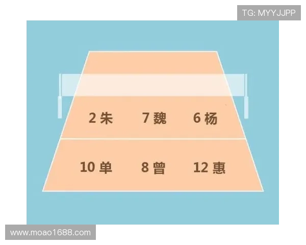 北京排球队在锦标赛中的速度优势与战术分析