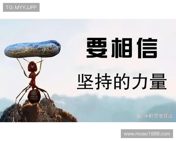 深度对话吴强排球人生的追求与坚持探索之路