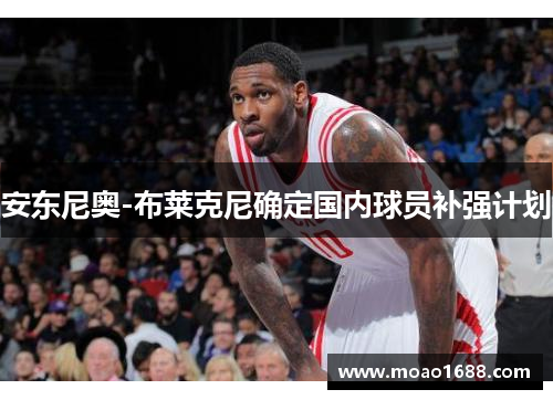 安东尼奥-布莱克尼确定国内球员补强计划