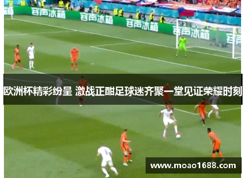 欧洲杯精彩纷呈 激战正酣足球迷齐聚一堂见证荣耀时刻