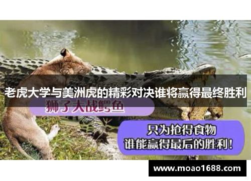 老虎大学与美洲虎的精彩对决谁将赢得最终胜利