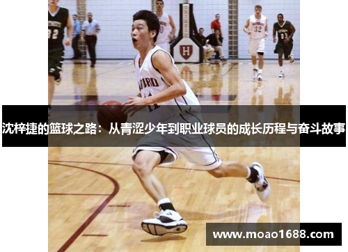 沈梓捷的篮球之路：从青涩少年到职业球员的成长历程与奋斗故事